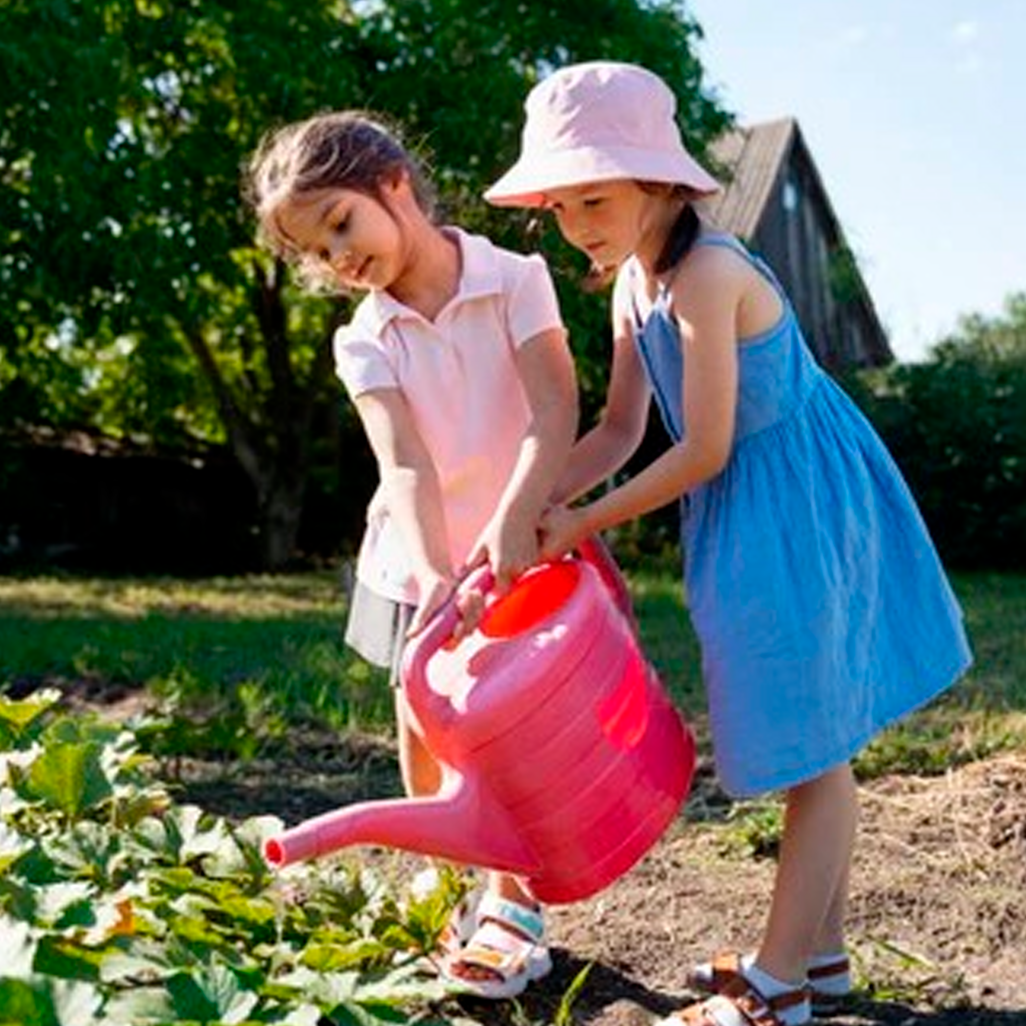 Fun Squash Gardening Activities for Kids: Grow 'Little Gem Rolet' Together!