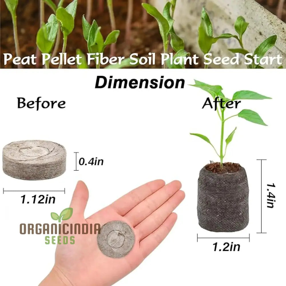 100 Pcs 30Mm Peat Pellets Seed Starter Kit - Compressed Soil Pods For Vegetable Seedlings Includes