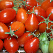 TOMATO AUSTIN'S RED PEAR Seeds - Premium Seeds for Gardening