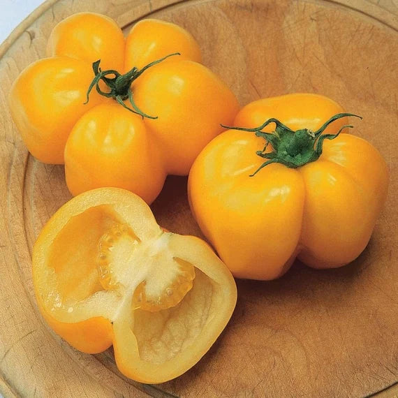 Yellow Stuffer Tomato Seeds – Unique Hollow Heirloom Variety for Stuffing