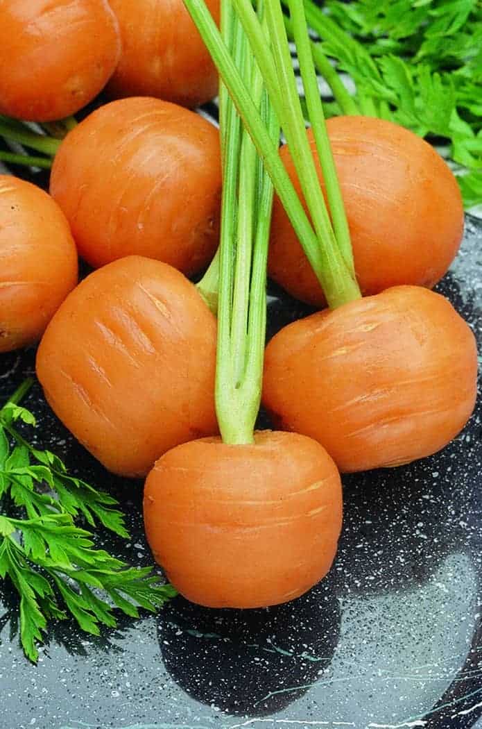 Thumbelina Carrot Seeds – Heirloom, Round Mini Carrots for Containers & Gardens