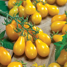 Yellow Pear Tomato Seeds – Heirloom Cherry Tomatoes for Your Garden