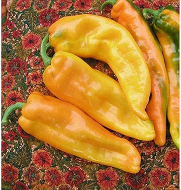 Sweet Pepper - F1 Ringo Vegetable Seeds for Planting, Premium Quality Seeds for Home Garden, Perfect for Growing