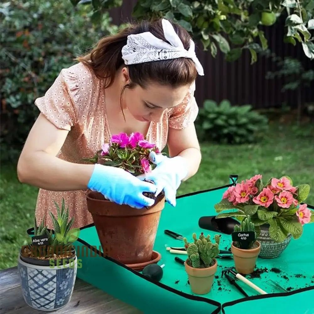 20-Piece Succulent Tool Set - Includes 39.4’’ Indoor Plant Repotting Mat And 19 Miniature Hand