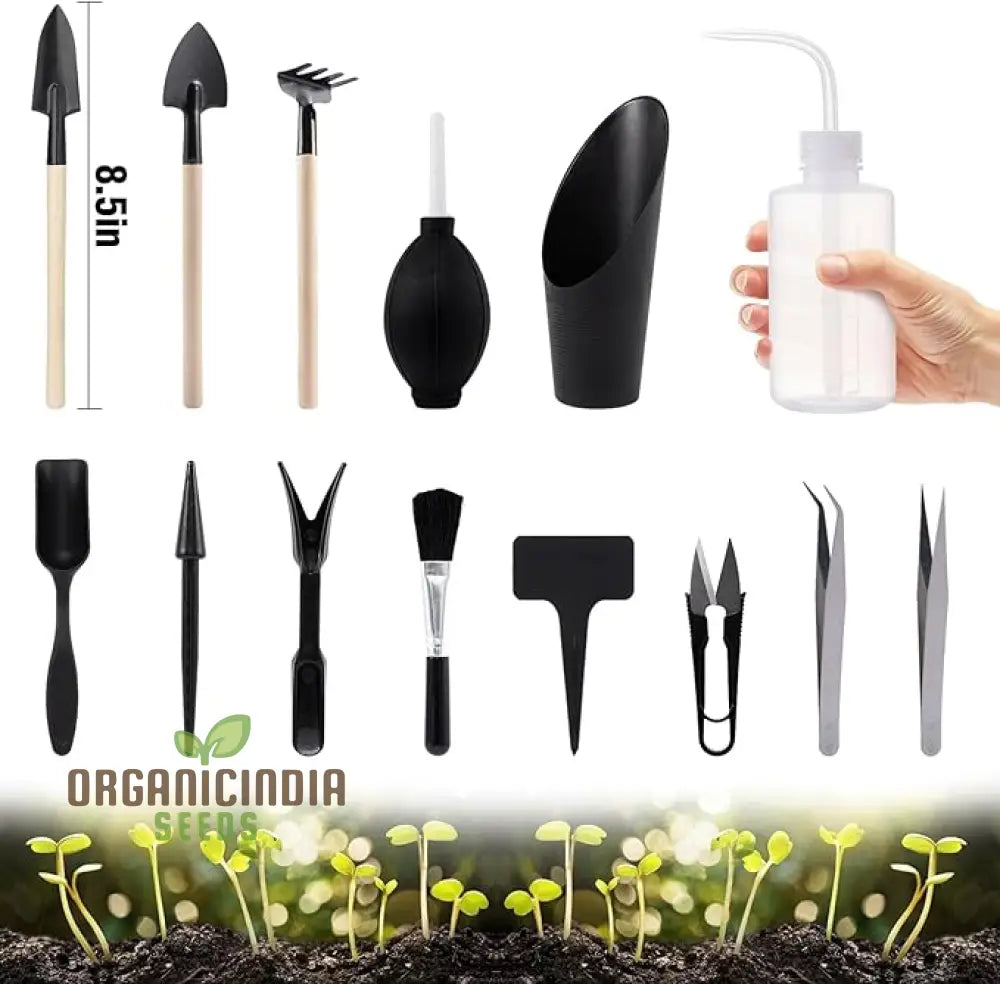 20-Piece Succulent Tool Set - Includes 39.4’’ Indoor Plant Repotting Mat And 19 Miniature Hand