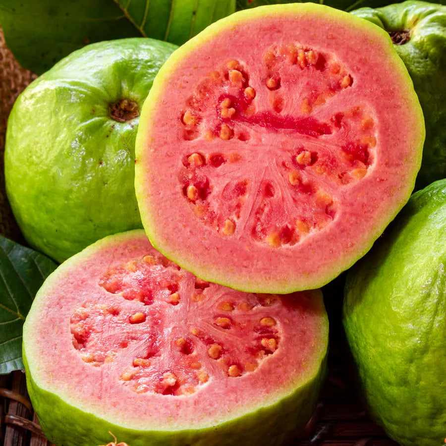 Tropical Pink Guava Seeds, Sweet & Juicy Fruit for Planting