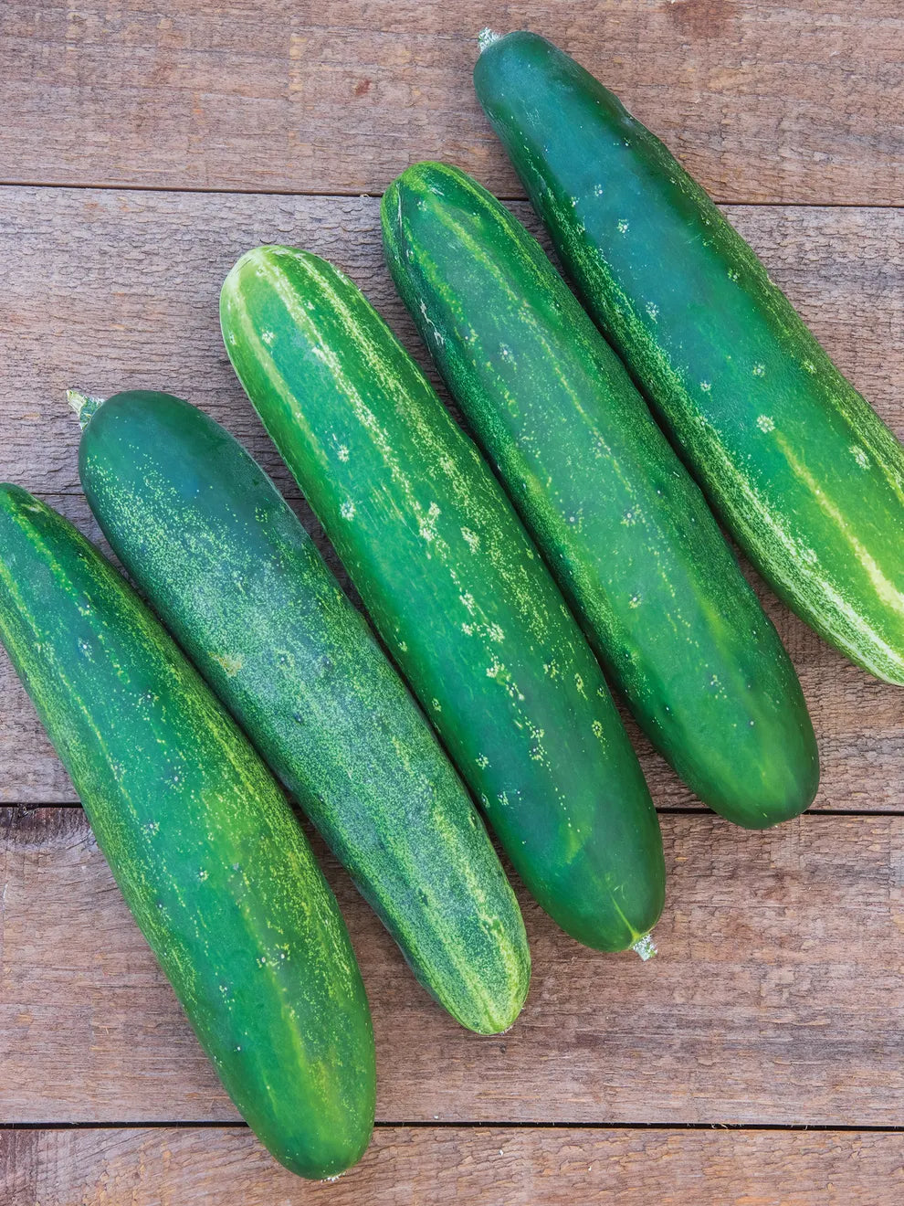 Straight Eight Cucumber Seeds – High-Yield, Crisp & Heirloom Variety