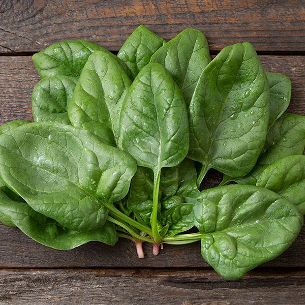 Space Spinach Seeds – Fast-Growing, Nutrient-Rich Superfood for Your Garden