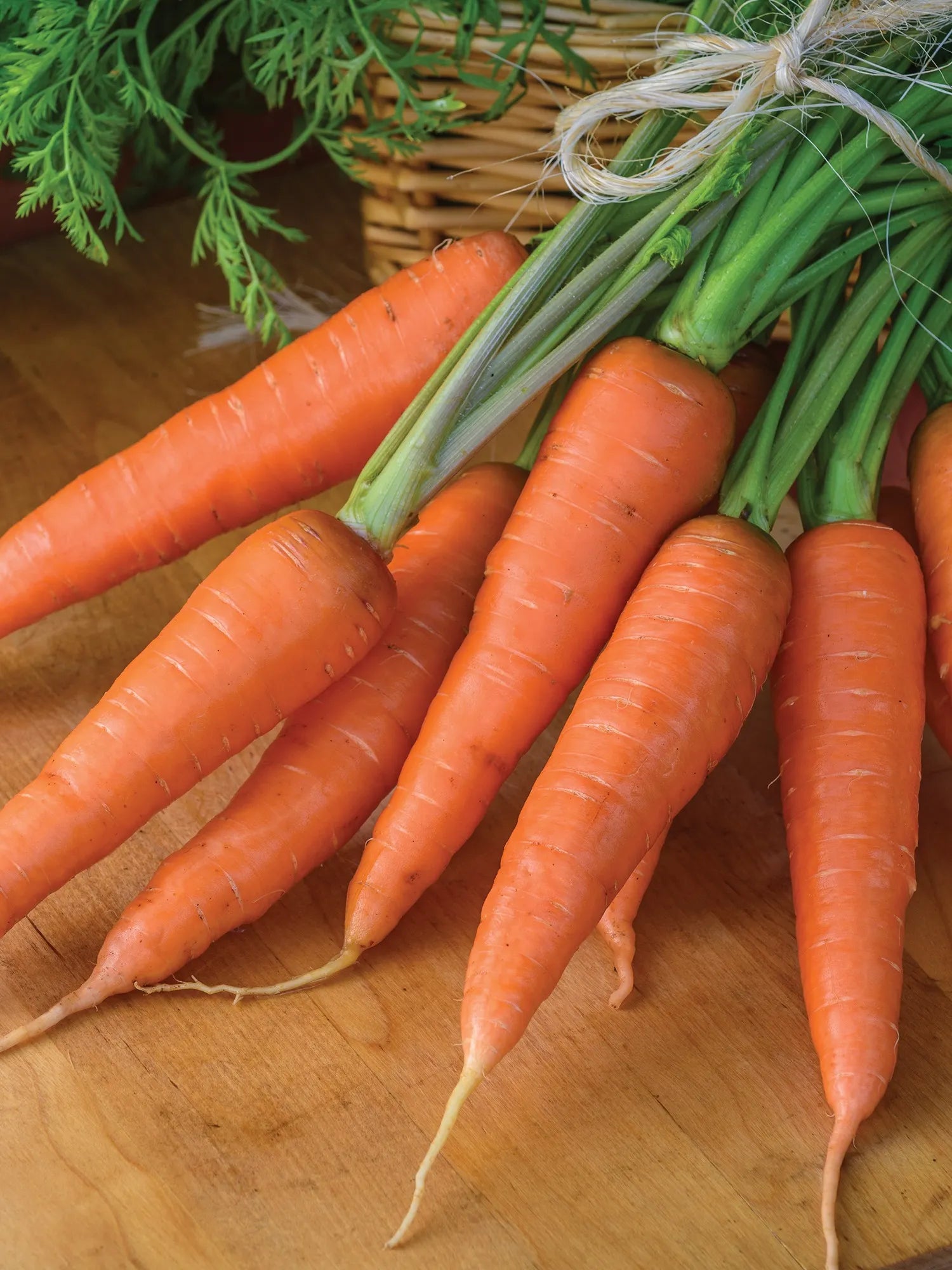 Yaya Carrot Seeds – Premium Quality, Sweet & Crisp Hybrid Carrots