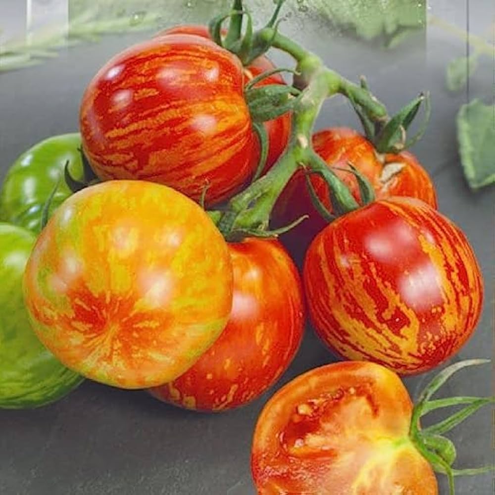 Tigerella Tomato Seeds – Heirloom Striped Variety - High-Yield & Sweet Flavor