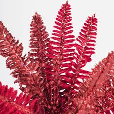 High-Quality 100pcs Fern Plant Seeds Red, Non-GMO 100pcs Red Fern Plant Seeds, 100pcs Red Fern Seeds for Planting, 100pcs Red Fern Spores