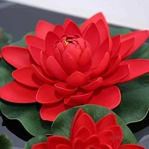 Red Lotus Flower Seeds for Planting