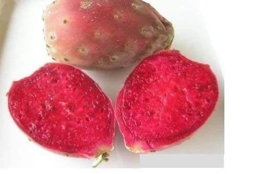 20 graines de figue de Barbarie de cactus rouge | Opuntia Ficus Indica Indian Fig Sabras Fruit | Graines de cactus comestibles uniques