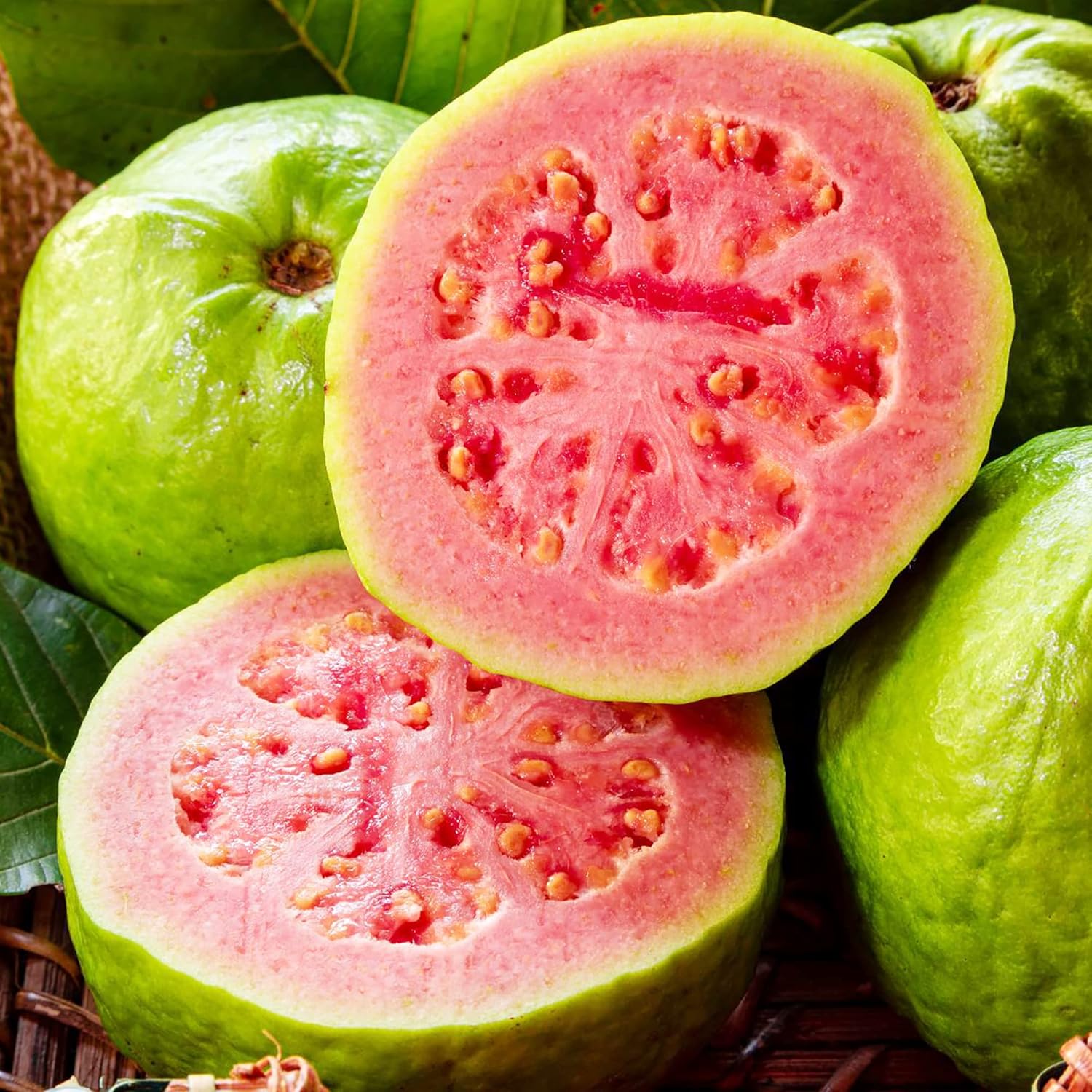 Graines de goyave - Psidium guajava rouge, fruit tropical vivace sucré et parfumé