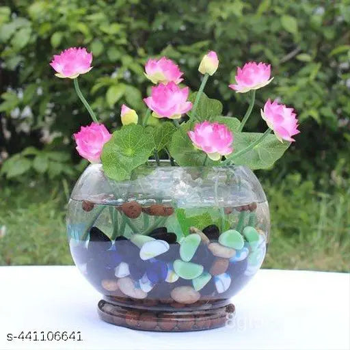 "Bonsai Bowl Lotus Seeds, Planting - 100 pcs" - Flower seeds