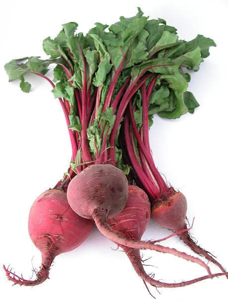 Beetroot Vegetable Seeds, Grow Your Own Vibrant and Nutritious Root Vegetables