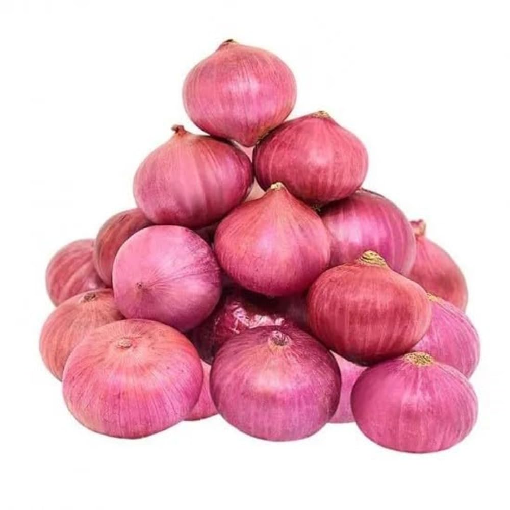 "Ruby Red Onion Seeds, Planting - 100 pcs" - Vegetable Seeds