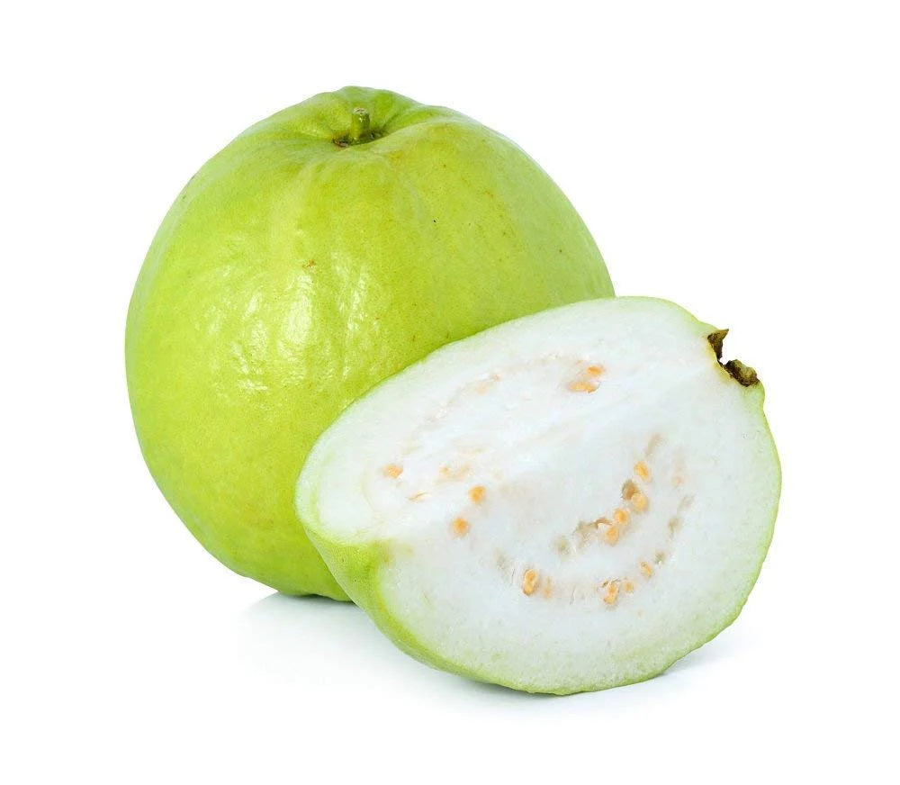 Allahabad Safeda Guava Seeds – Sweet & Juicy Tropical Fruit for Planting