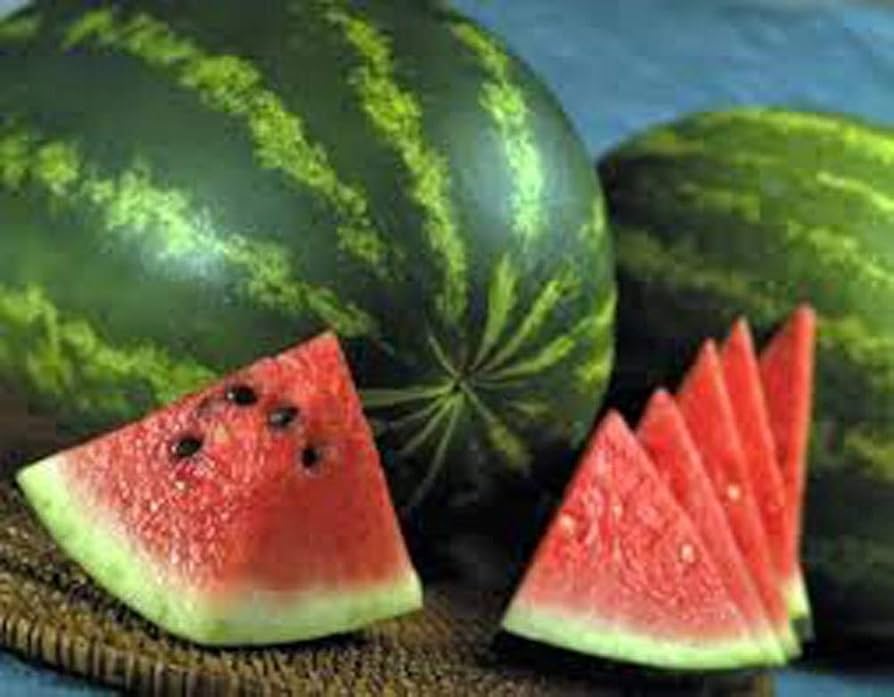 "Jubiläum Watermelon Seeds for Planting – 100 pcs" - Fruit Seeds