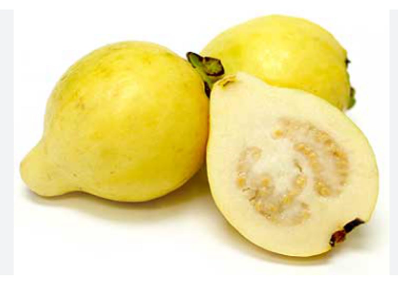 Beaumont Guava Seeds – Sweet & Aromatic Tropical Fruit for Planting