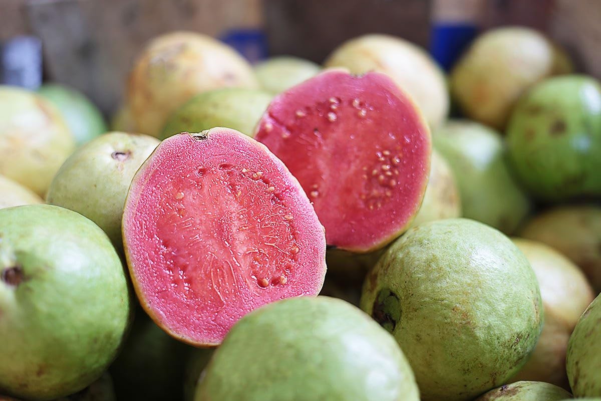 Tropical Pink Guava Seeds – Sweet & Juicy Fruit for Planting