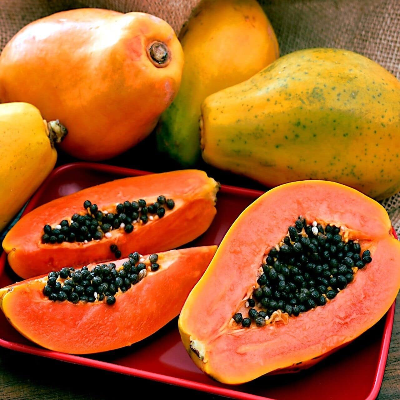 Sunrise Papaya Seeds for Planting – Sweet Strawberry Papaya Variety