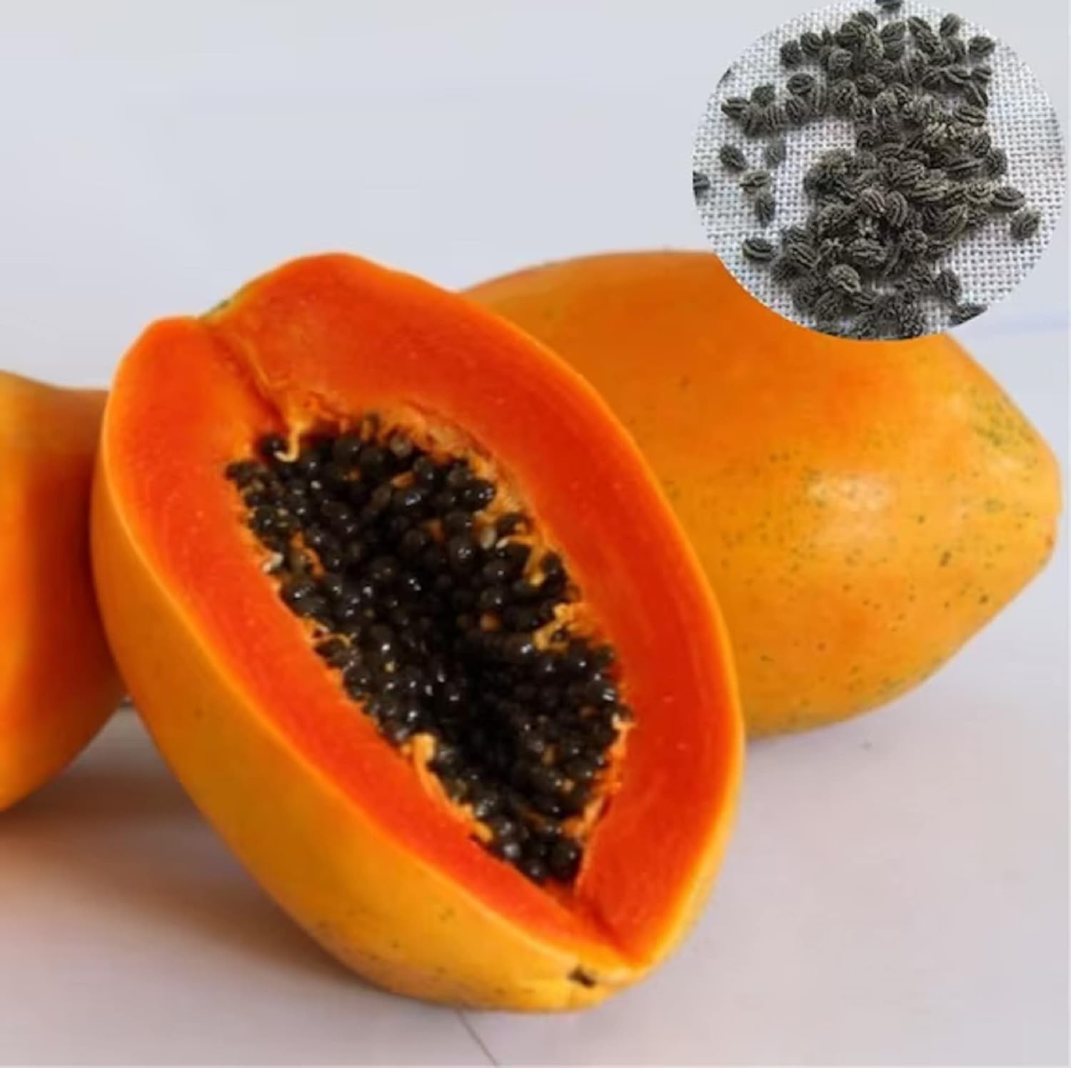 Florida Red Papaya Seeds for Planting – Sweet & Juicy Tropical Fruit