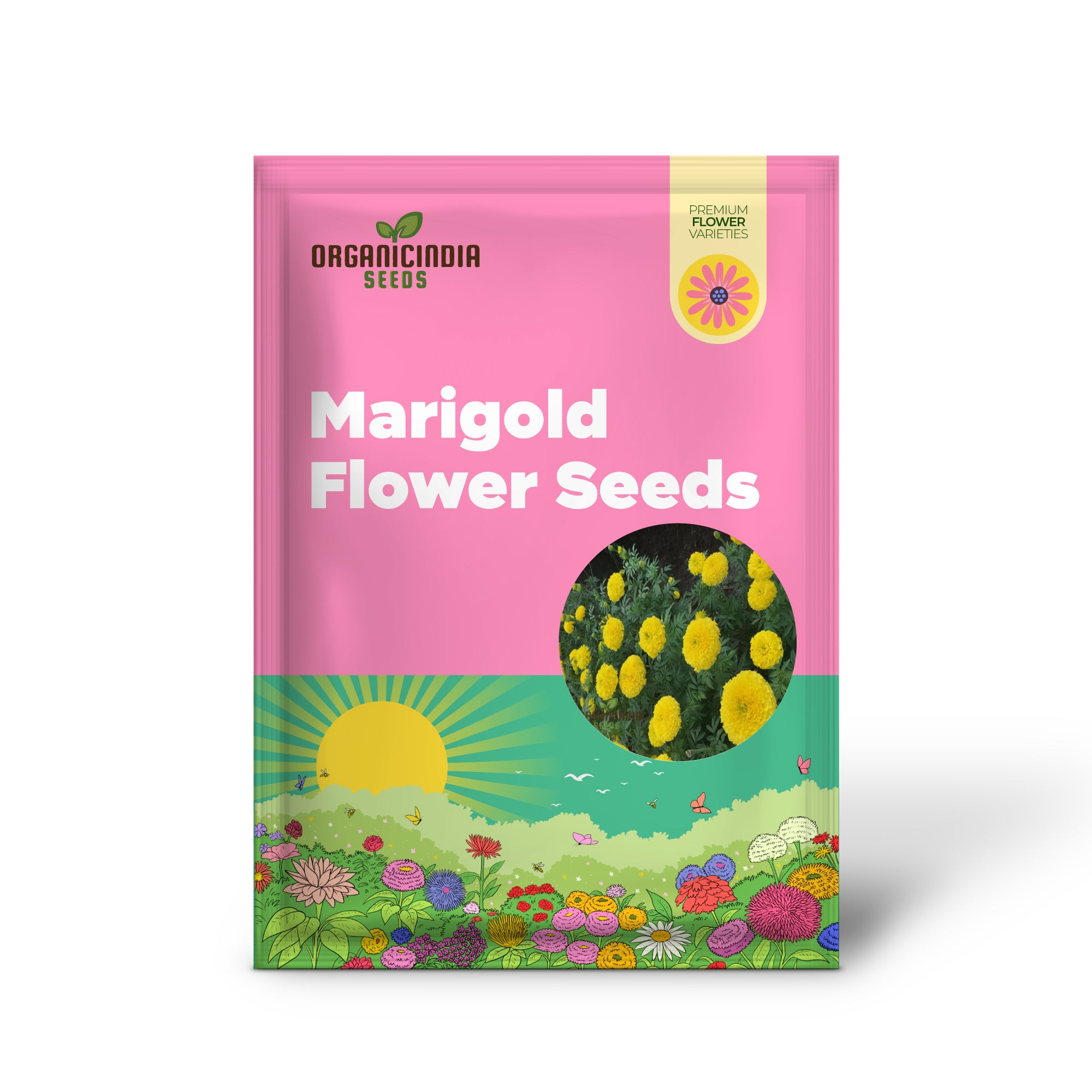 Marigold Blue And Yellow Flower Seeds for Planting And Gardening