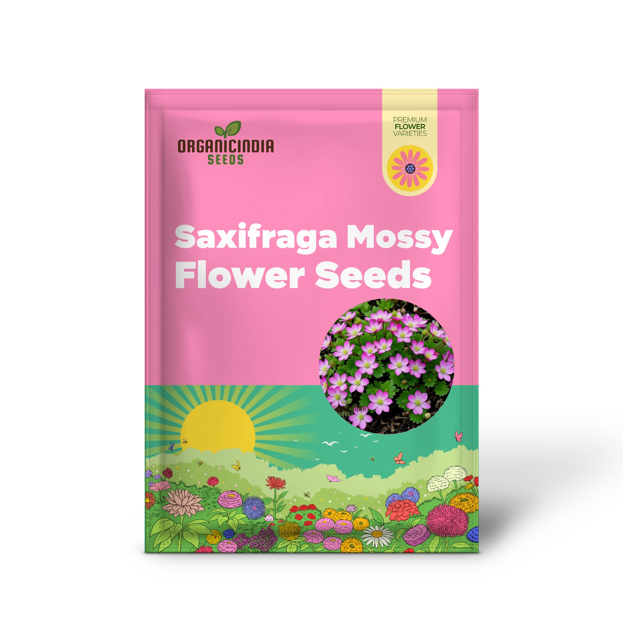 Saxifraga Mossy flower Seeds, Enhance Your Garden with Beautiful Blooms Saxifrage Rose Flower Seeds