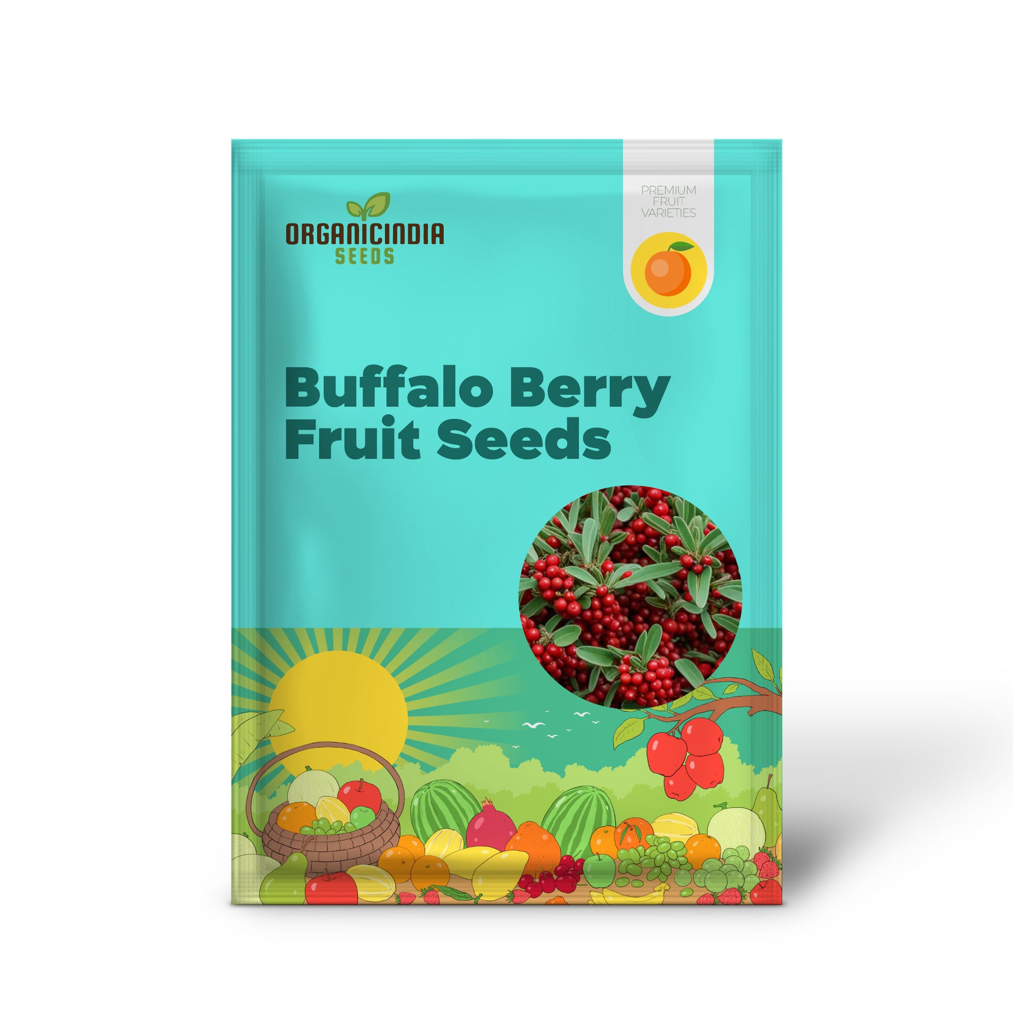 Buffalo Berry Fruit Seed, Cultivate Your Own Native American Delight Berry Planting Seeds