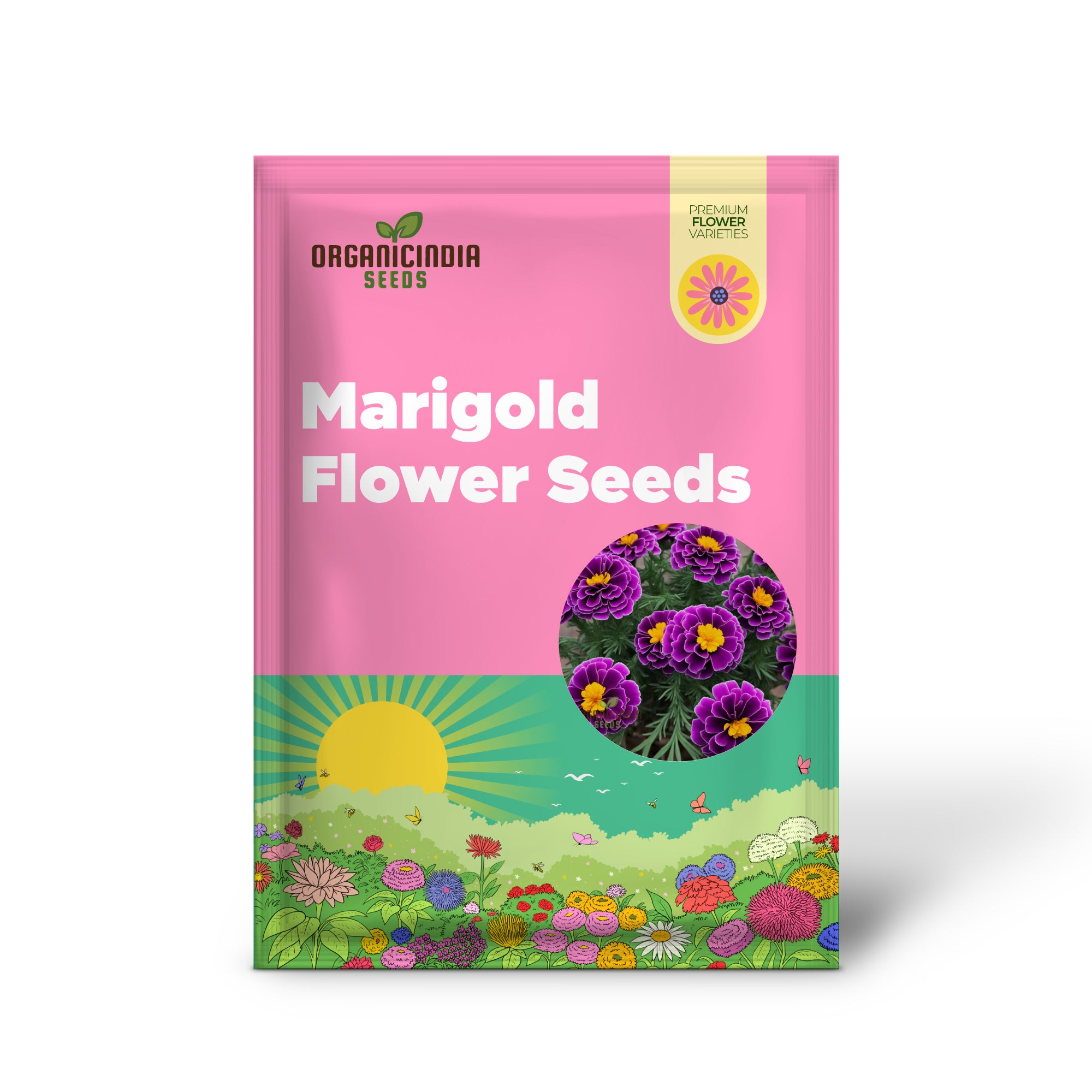 Purple Marigold Flower Seeds  Elevate Your Gardening Experience with Unique, Vibrant Blooms