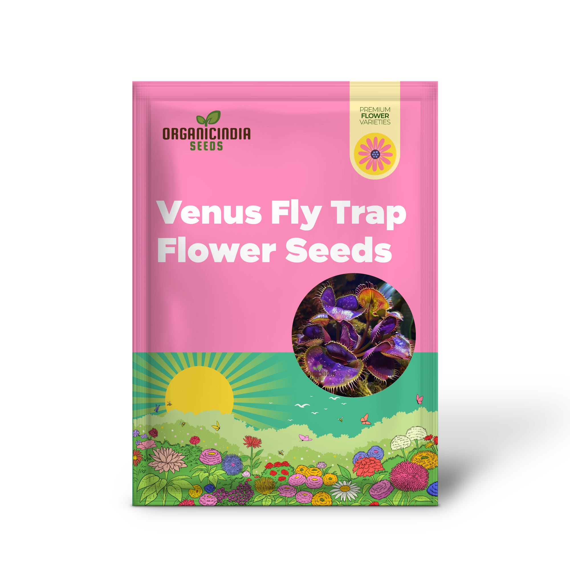 Graines de fleurs Venus Fly Trap en violet vibrant - Améliorez votre jardinage avec des fleurs exotiques et époustouflantes