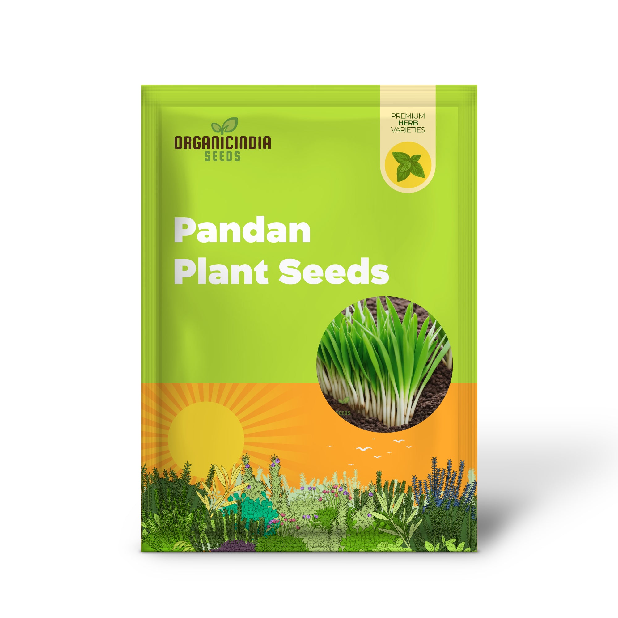 Pandan Plant Seeds, Elevate Your Garden with Abundant Growth in Every Pack