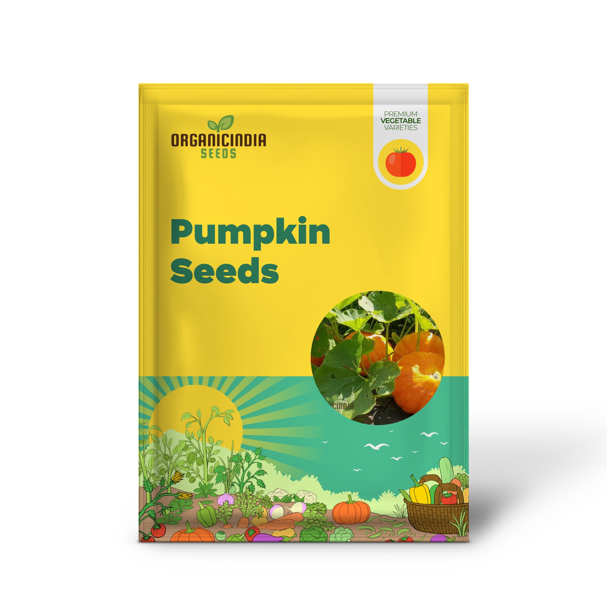 Orange Pumpkin Seeds For Planting, Pumpkin Varieties For Garden