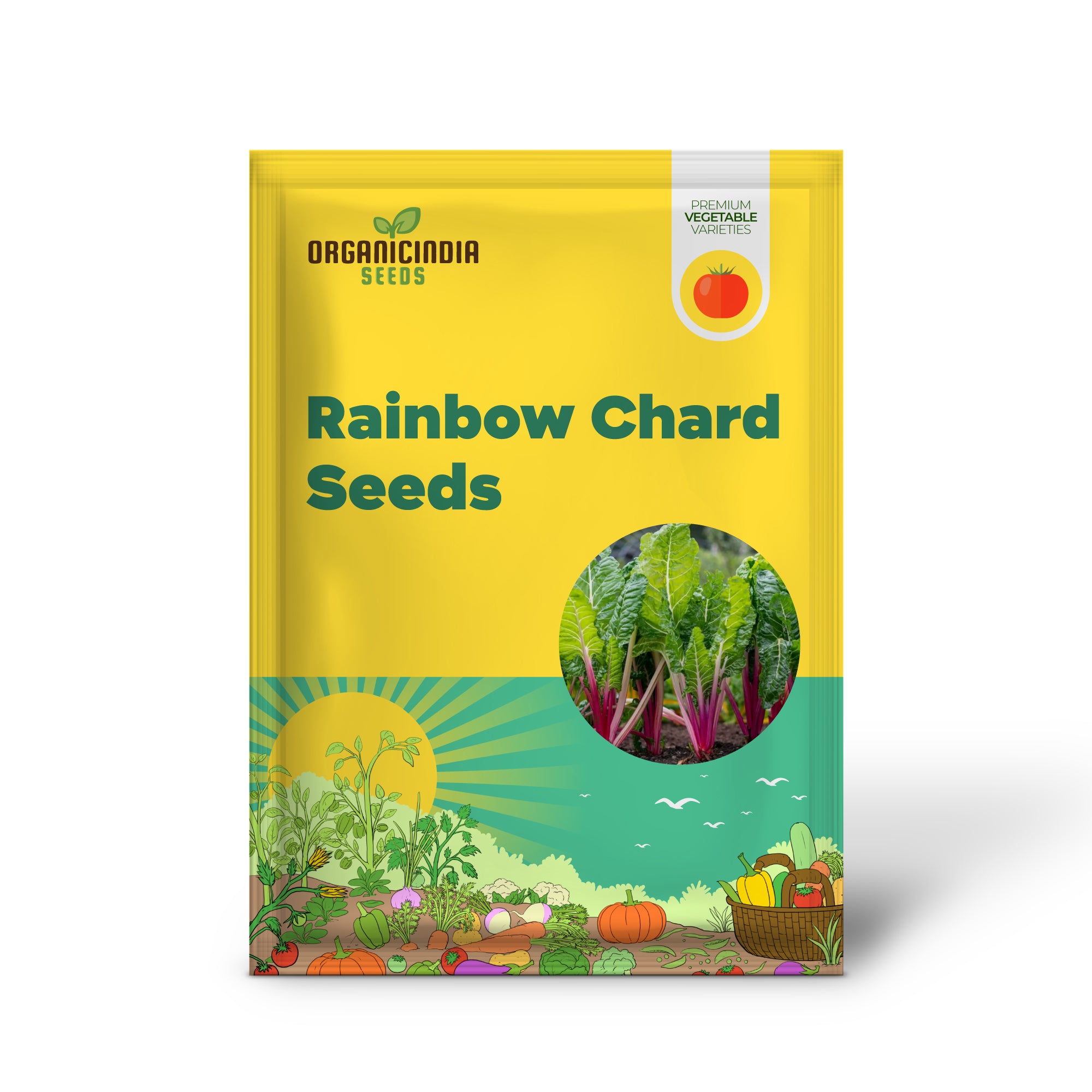 Enhance Your Garden with New Fresh Rainbow Chard Vegetable Seeds For Planting - Grow a Vibrant and Colorful Harvest