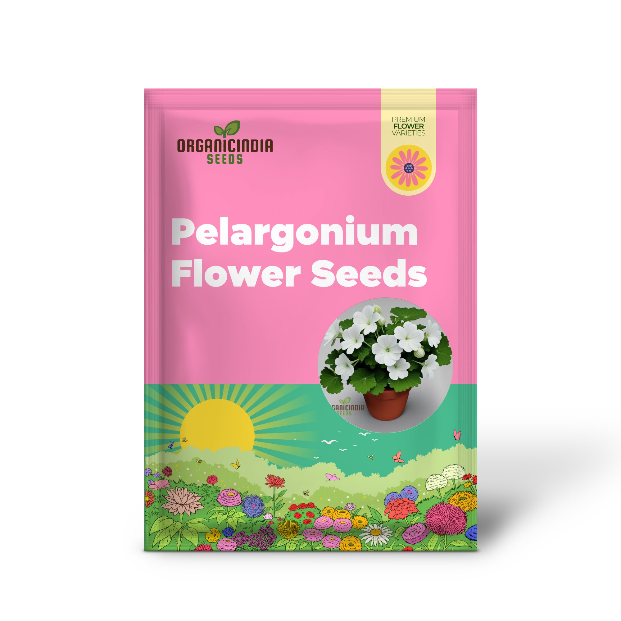 White Geranium Pelargonium Flower Seeds Elevate Your Gardening Experience with Elegant, Timeless Blooms