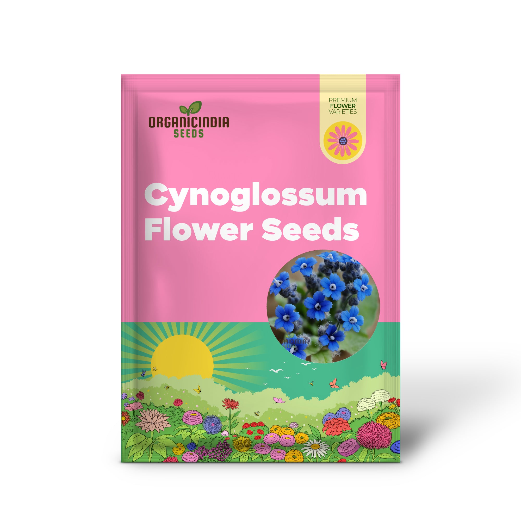 Blue Cynoglossum Flower Seeds Elevate Your Gardening Experience with Exquisite, Tranquil Blooms