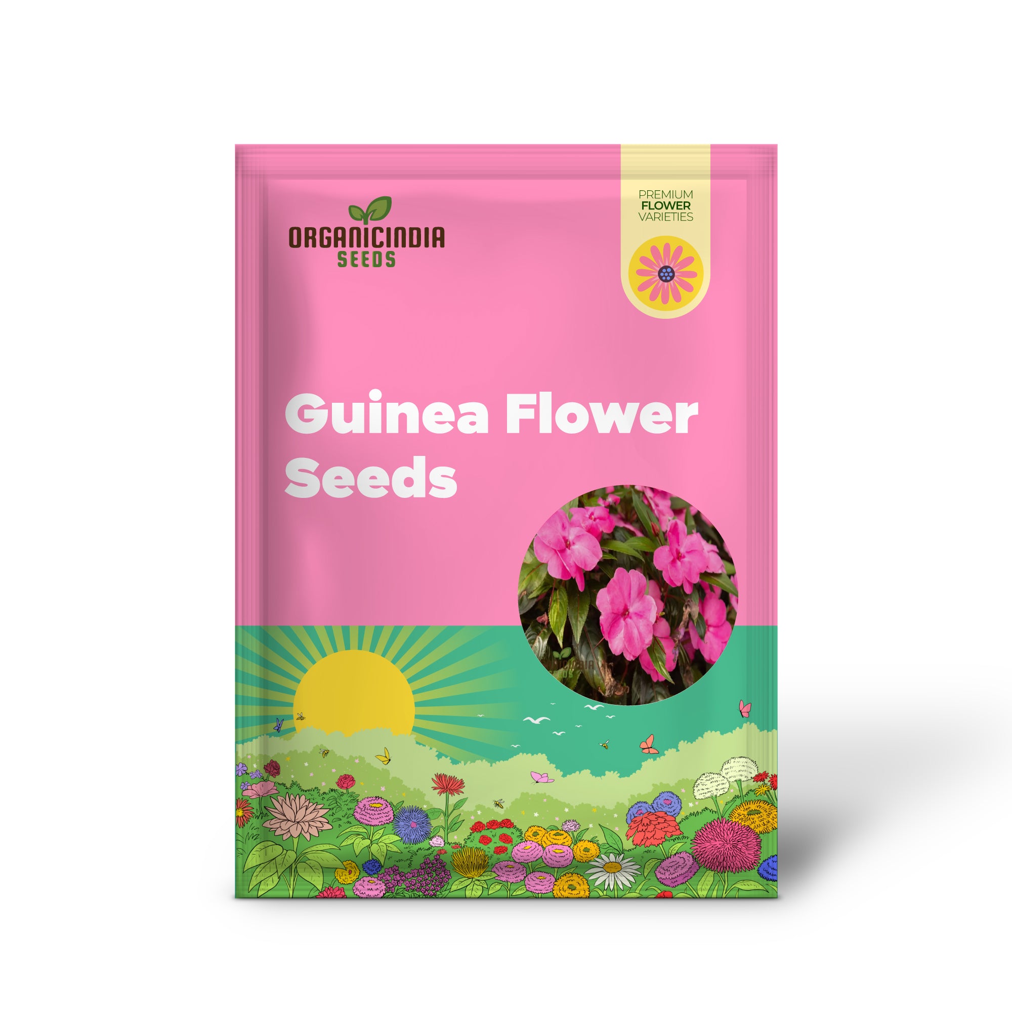 Guinea Flower Seeds For Planting Elevate Your Gardening Experience with Stunning, Unique Blooms