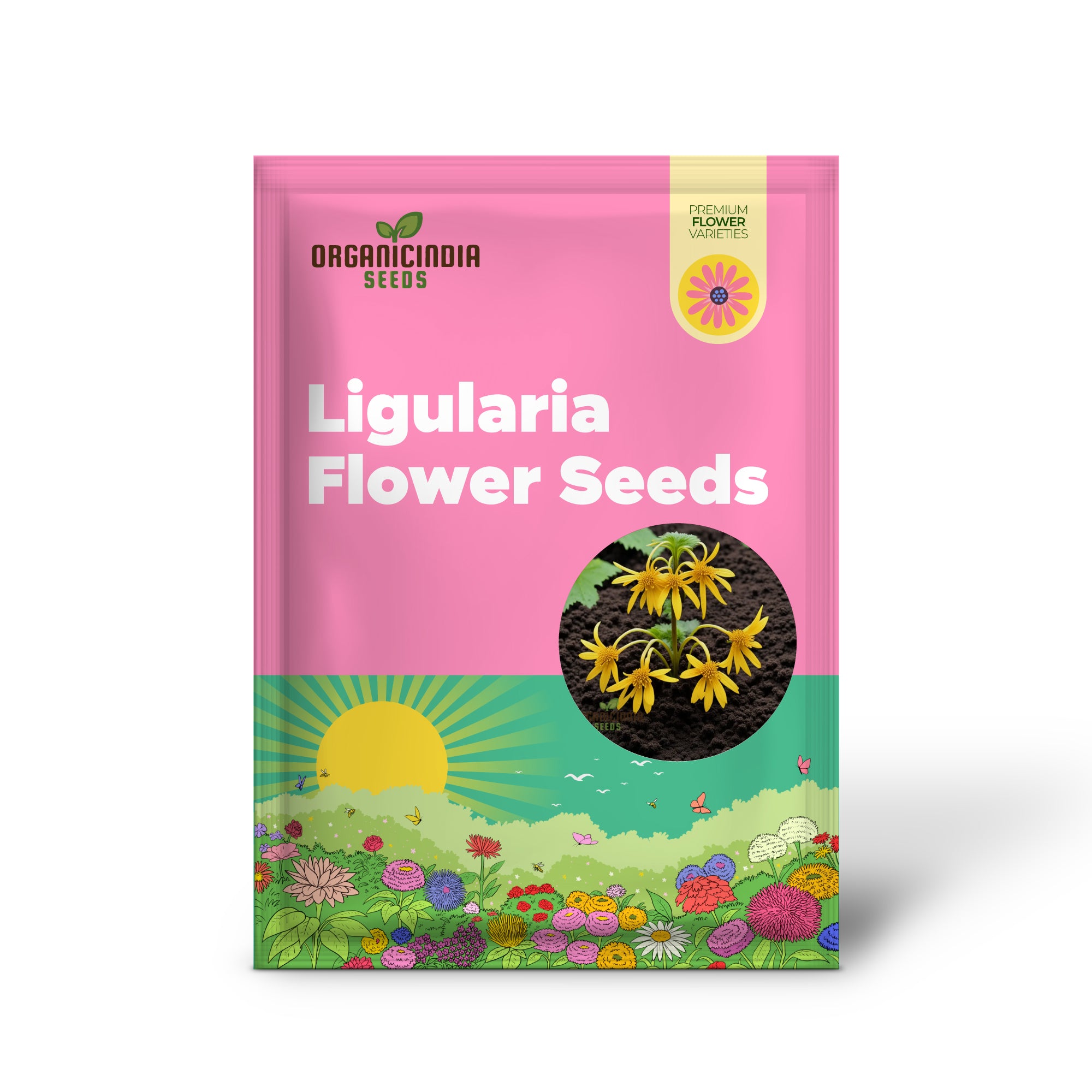 Ligularia Flower Seeds for Planting Elevate Your Gardening Experience with Bold, Eye-catching Blooms and Lush Foliage