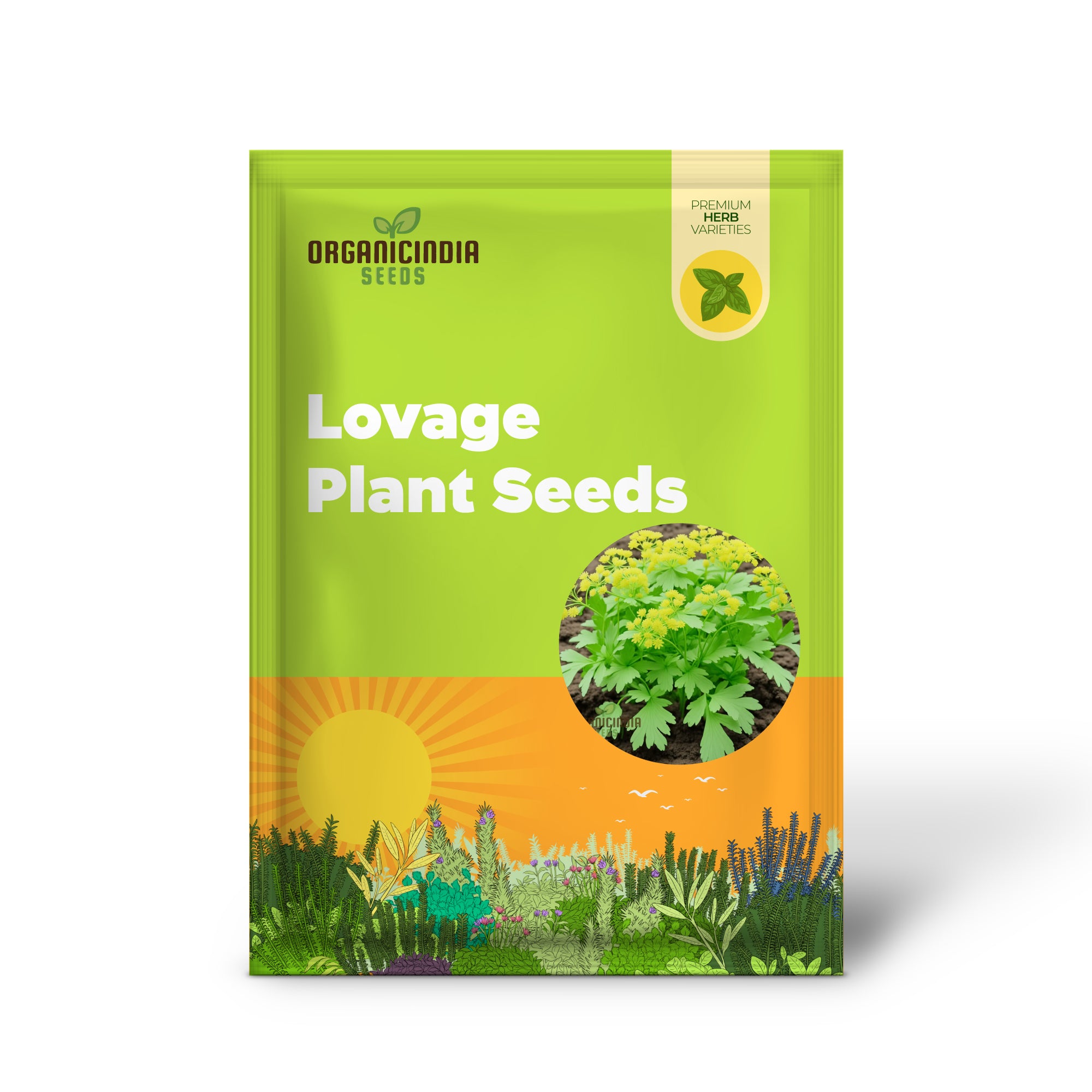 Light Green Lovage Plant Seeds, Grow Your Own Fresh Flavor with Premium Herb Seeds for Planting