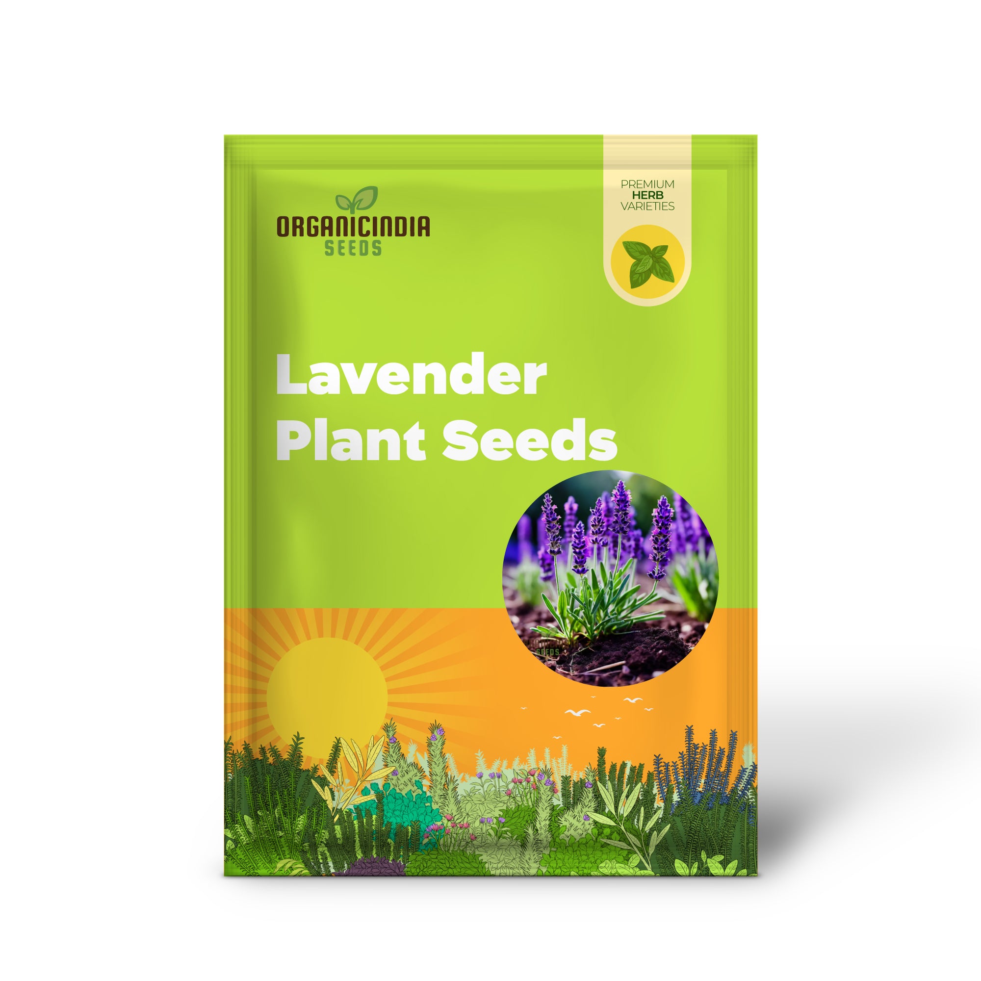 Purple Lavender Plant Seeds, Cultivate Your Tranquil Garden Sanctuary with Premium Herb Seeds for Planting