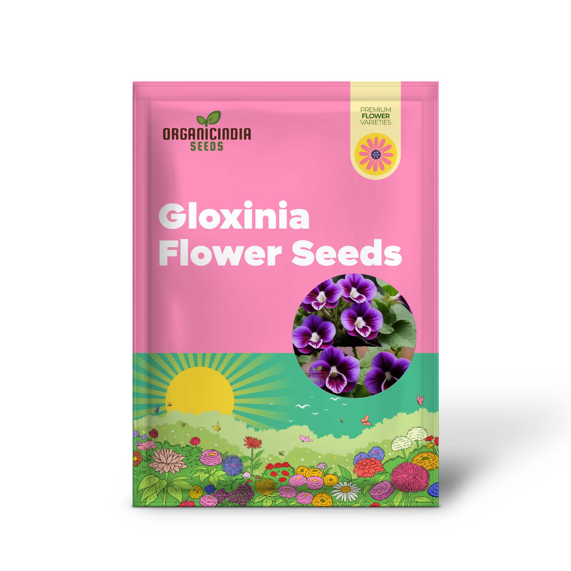 Violet Gloxinia Flower Seeds for Planting Elevate Your Gardening Experience with Exquisite, Bell-shaped Blooms