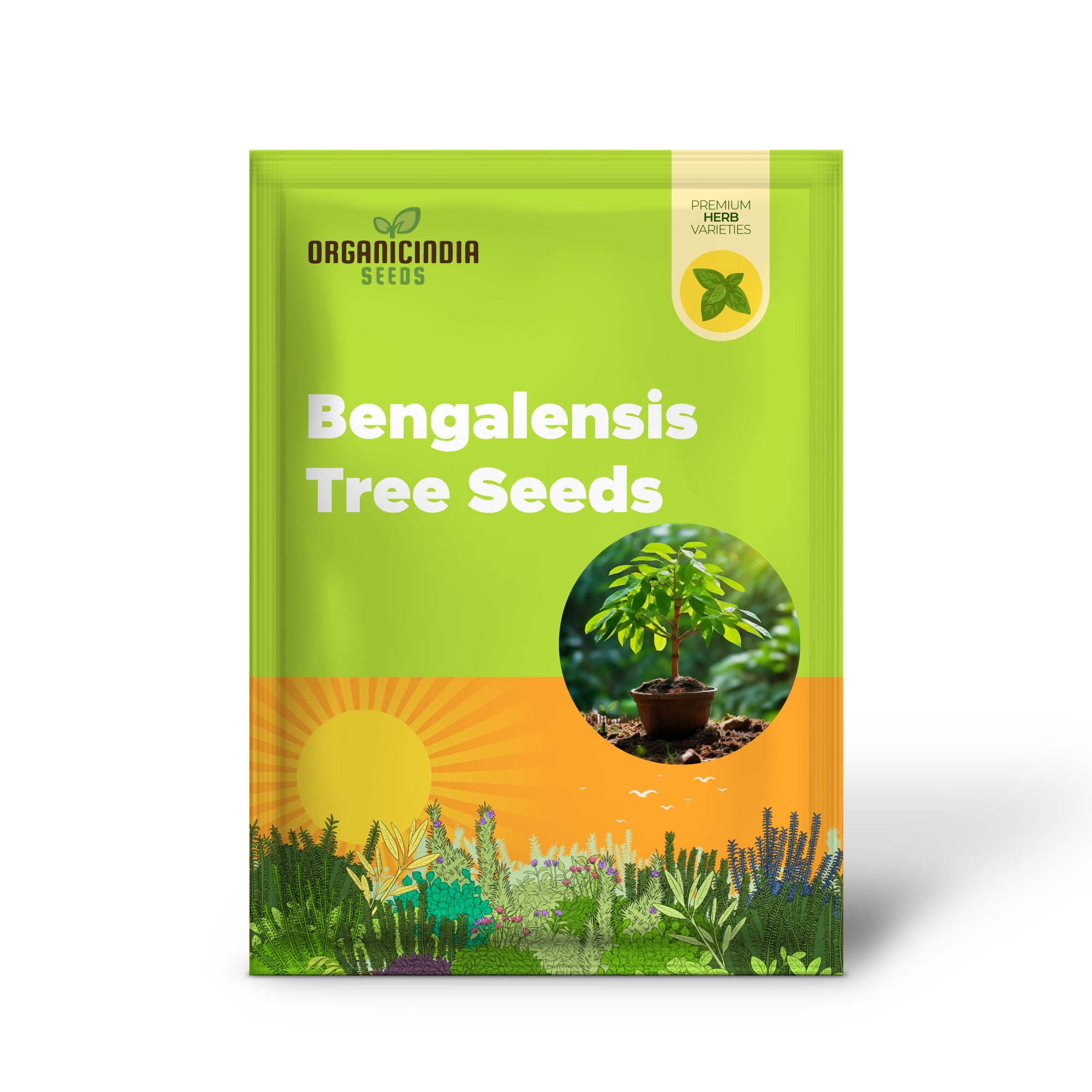 Graines d'arbre Bengalensis vertes, cultivez votre propre havre de verdure avec des graines de plantation de qualité supérieure.