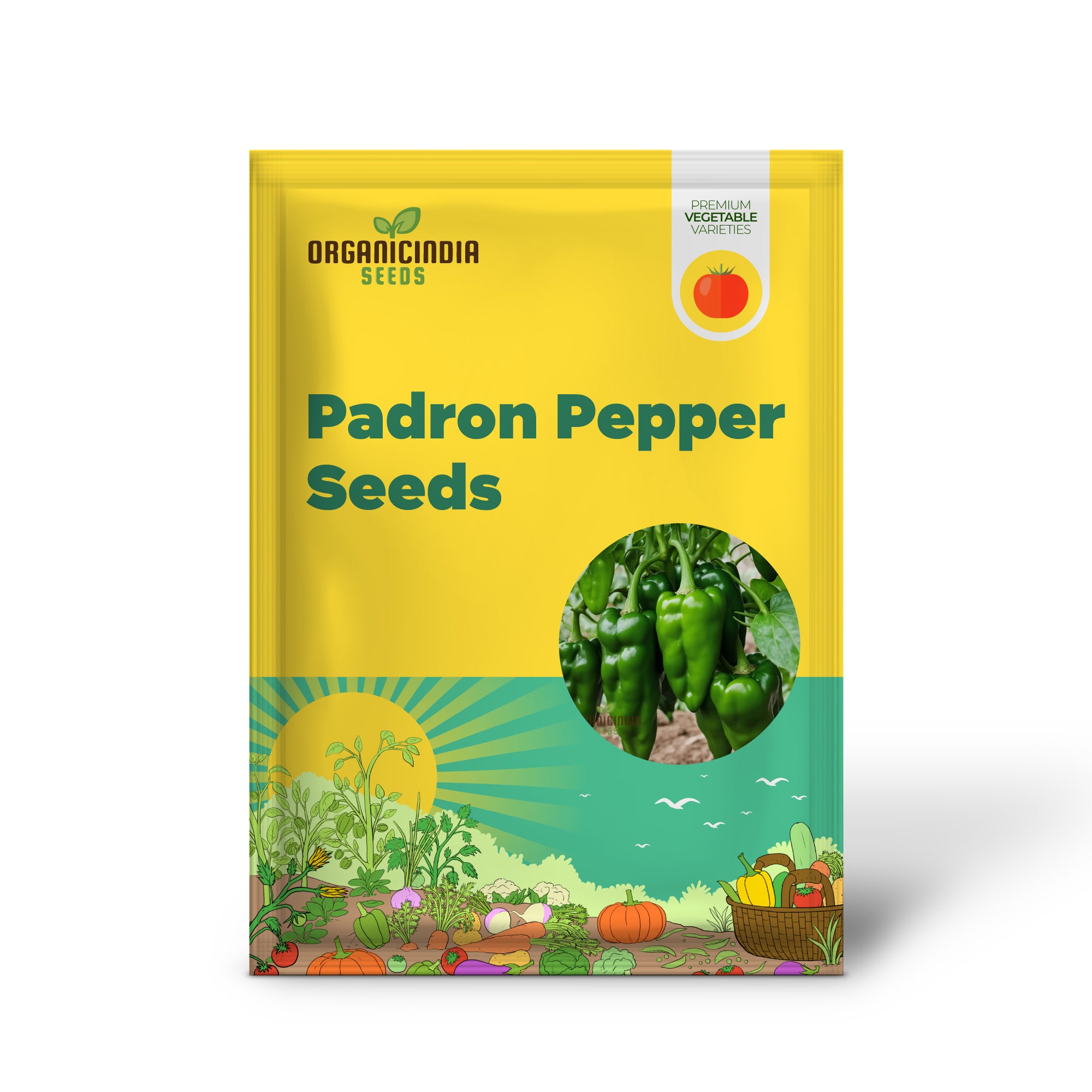 Green Padron pepper seeds For Planting, Grow Your Own Mild to Spicy Delights