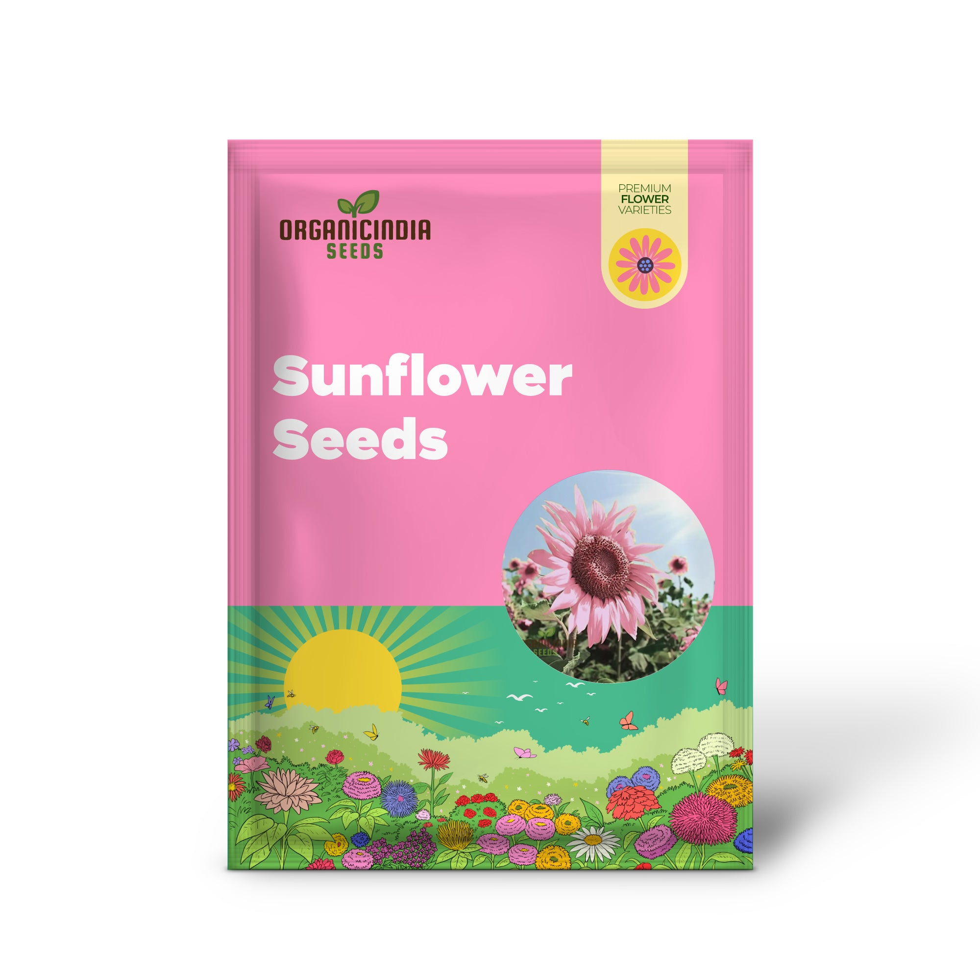 Premium Pink Sunflower Seeds, Vibrant Blooms for Garden Planting Easy to Grow, Attract Pollinators