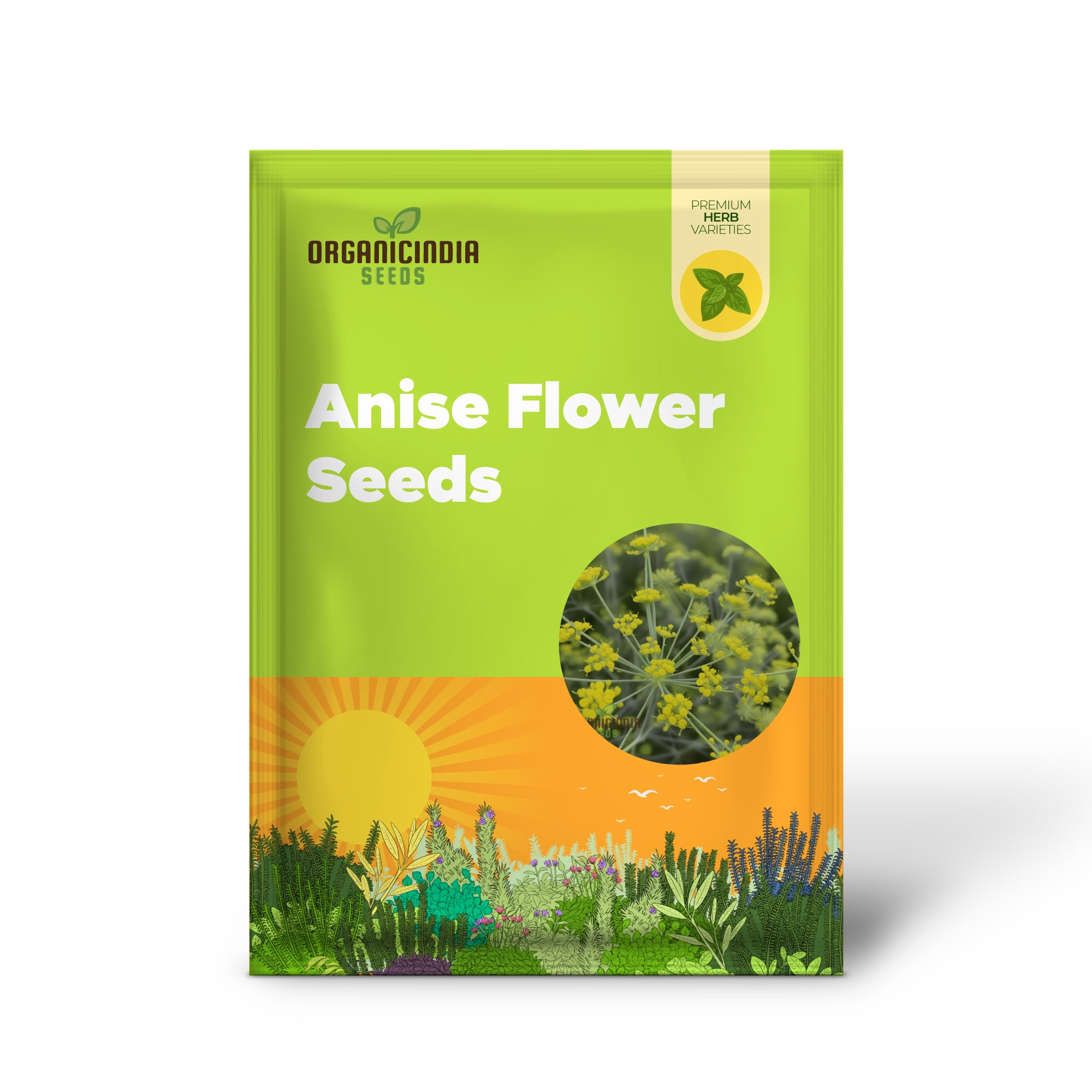 Anise Flower Seeds - Fresh Organic Flower Seeds for Planting, Cultivate Beautiful Anise Blooms in Your Garden - Perfect for Gardening Enthusiasts