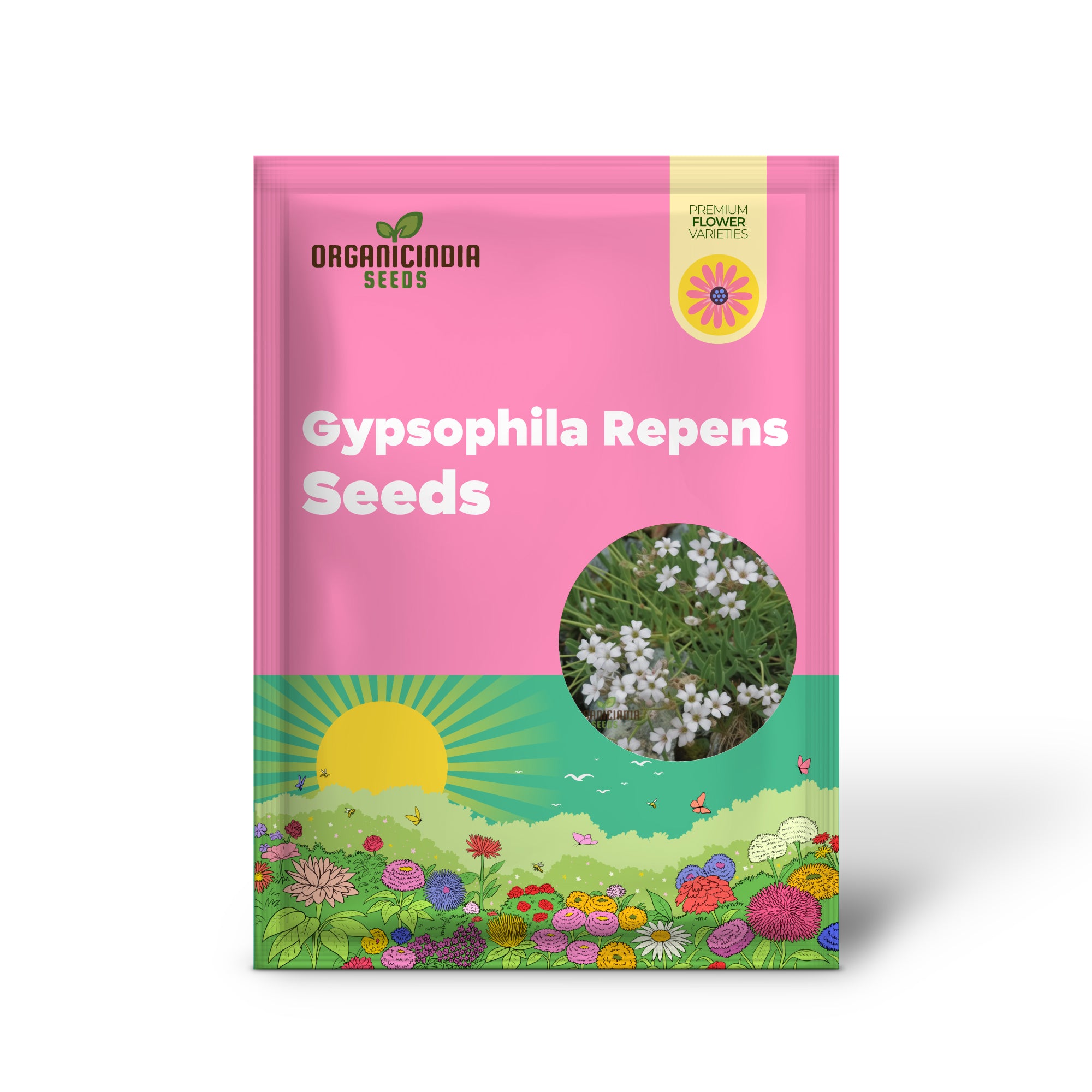 White Gypsophila Repens Seeds for Planting