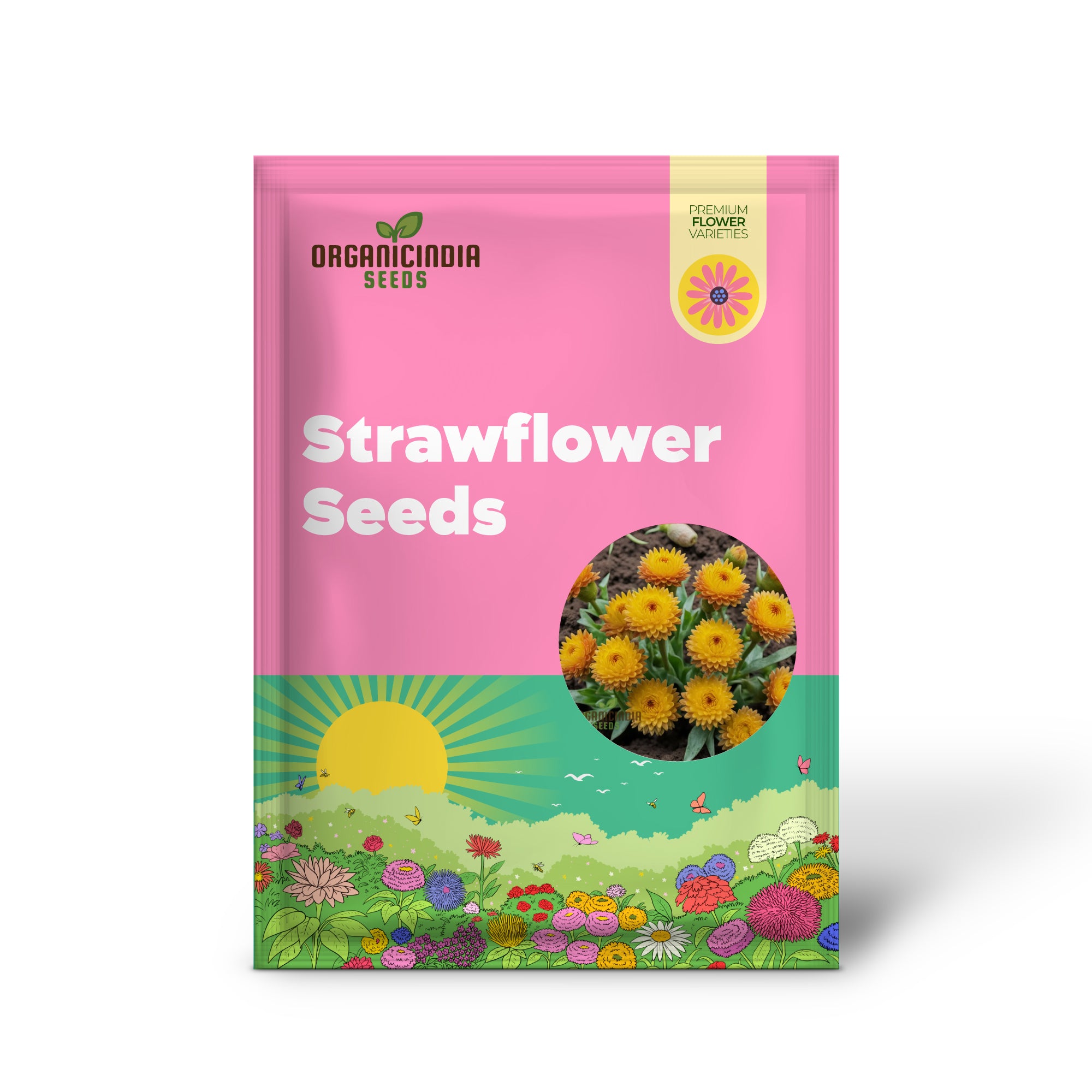 Yellow Strawflower Seeds for Planting, Annual Flower Seeds, Growing Strawflowers From Seeds