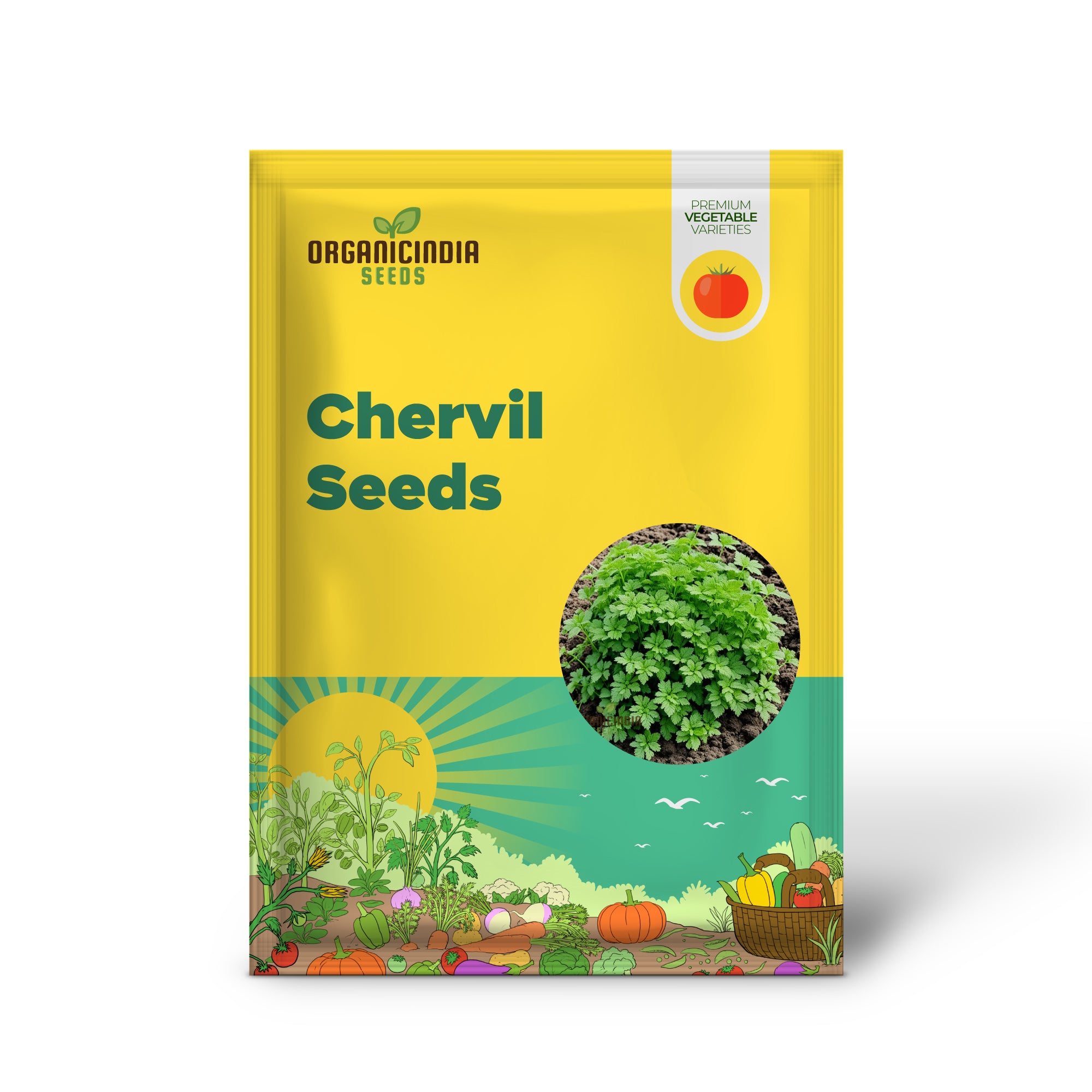 Green Chervil Vegetable Seeds For Planting, Fresh Culinary Herb for Your Garden