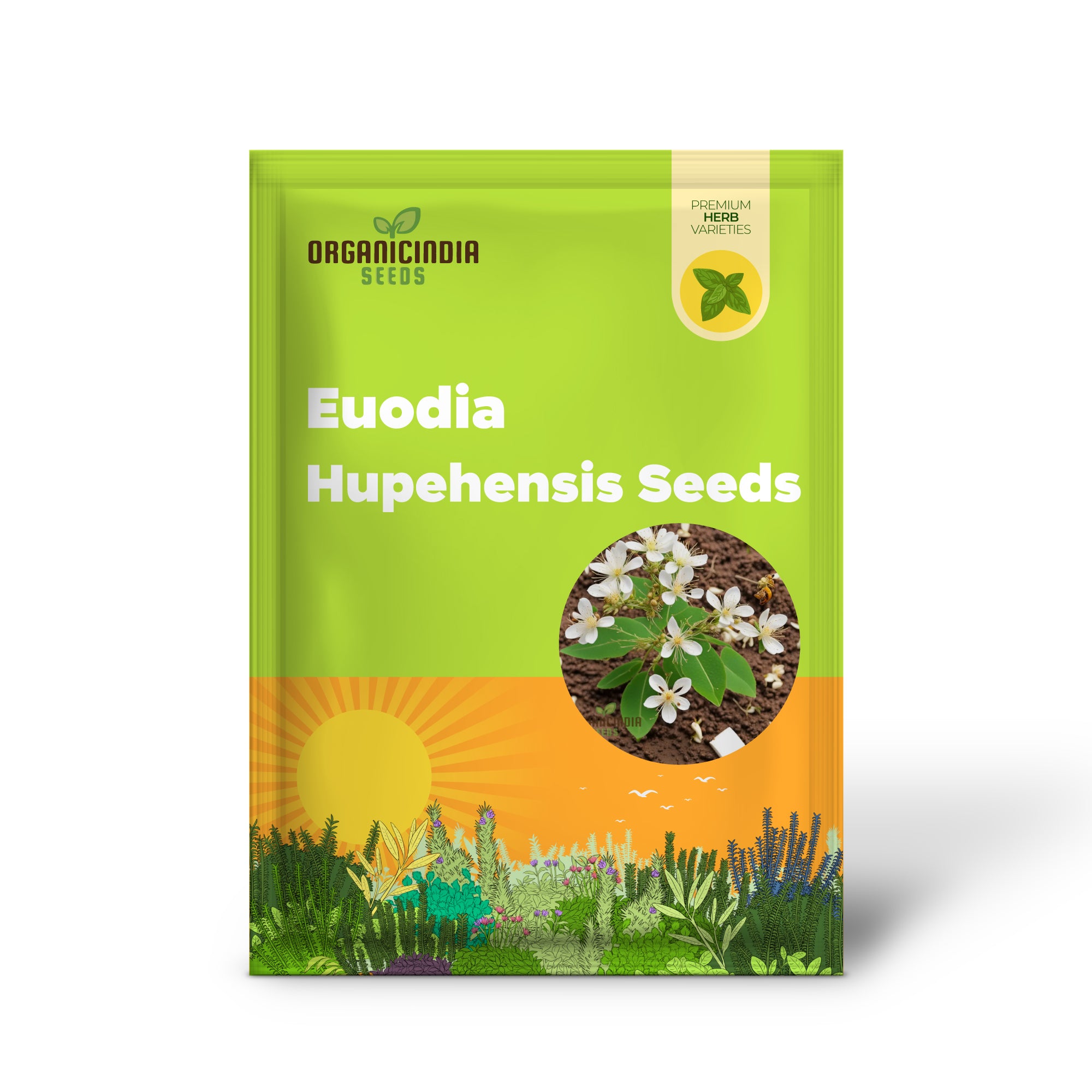 Bee-Beloved Euodia Hupehensis Seeds, Grow Your Own Bee Haven with Premium Planting Seeds